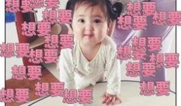 娱乐吃瓜酱想自由,吃瓜酱带你畅游自由生成世界