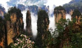 湖南张家界新闻爆料热线,见证山城脉搏，倾听市民心声