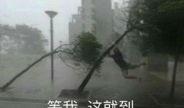 一场大雨爆料图片搞笑视频,搞笑视频捕捉雨中瞬间欢乐瞬间